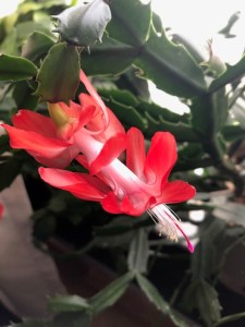 57279700612__FF826EBC-0A4C-49DF-B70B-65A35ECB4C6C