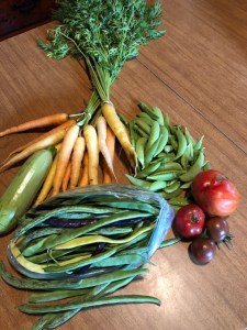 58714784973__EDBAACC7-5FAD-4A28-894A-62BF8BF89D76